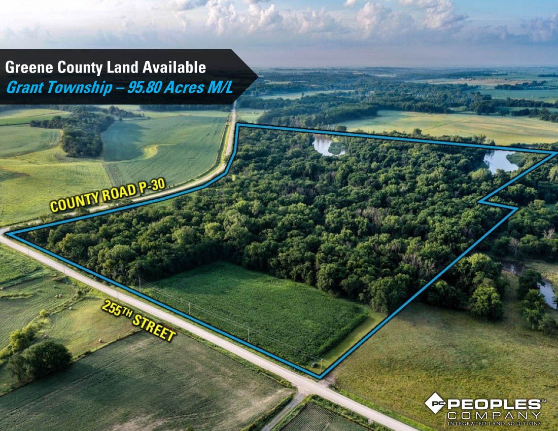 Listing Photo: Greene-Co-Recreational-Land-Available-95-Acres-19559 (4)